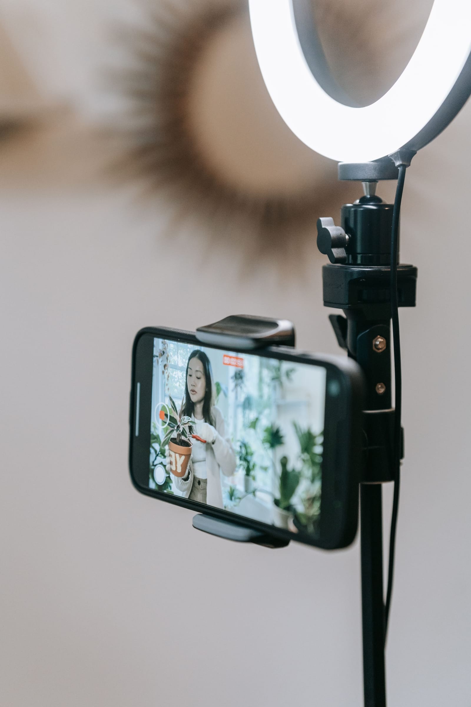 Celular preso ao ring light mostra na tela uma vendedora cuidando de um vaso de planta